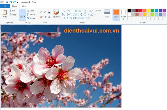 Xóa chữ trên ảnh bằng Paint