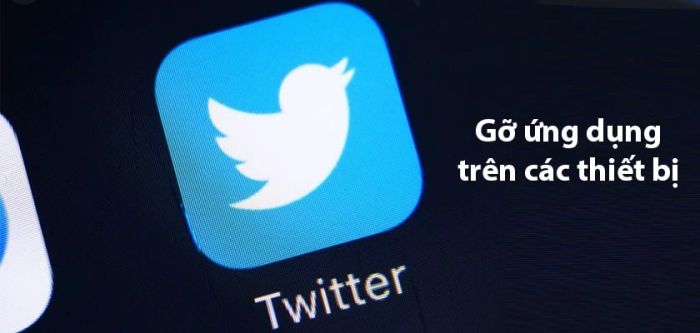 Hướng dẫn xóa tài khoản Twitter trên điện thoại
