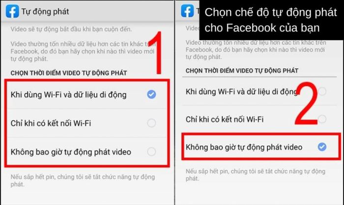 Tùy chọn tự động phát video