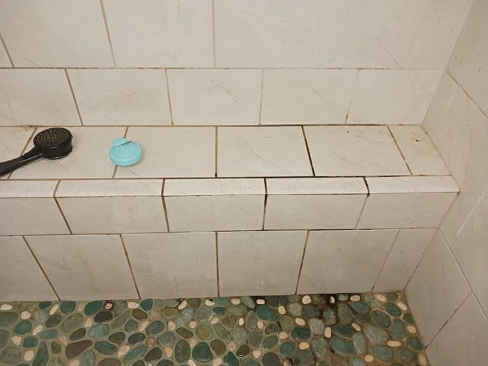 A shower covered in mold and mildew.