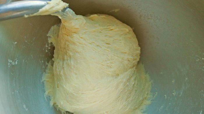Bread dough sitting in a mixing bowl.