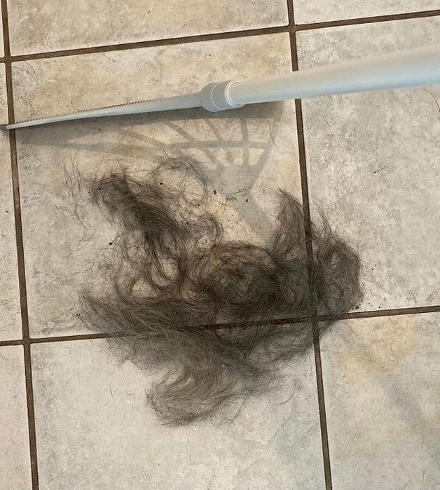 A broom is cleaning up a bundle of dark hair from the tiled floor.