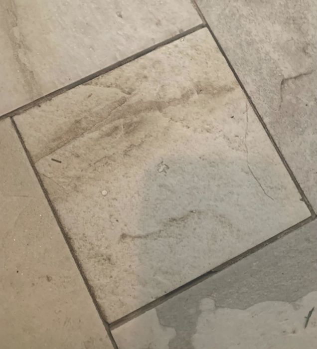 A collection of beige stone tiles arranged in a flooring pattern.