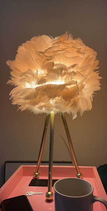 A pink lamp from the reviewer shining brightly on a desk.