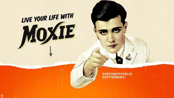 Top 11 Timeless Sodas for a Summer Refreshment