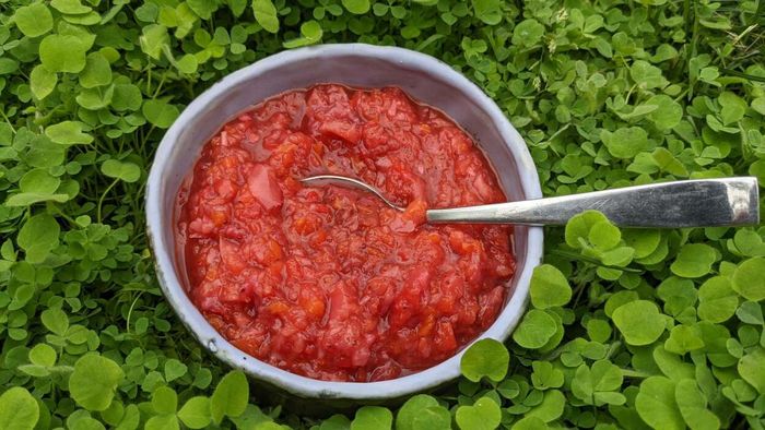 Every year, my kitchen produces two beloved creations: sambal and fresh fermented salsa. It wasn't until I found myself with a pint of ripe strawberries nearing their end that I decided to combine them. On a whim, I mixed in some sambal with the mashed strawberries, and it was love at first bite.