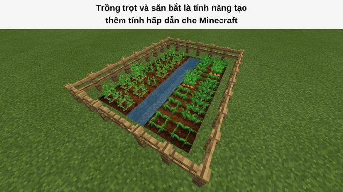 Các tính năng thú vị khác khi chơi Minecraft miễn phí bao gồm nhiều hoạt động đa dạng, từ chế tạo đồ vật cho đến sinh tồn, đều mang đến trải nghiệm phong phú và hấp dẫn cho người chơi.