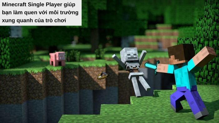 Hướng dẫn chơi với chế độ Single Player