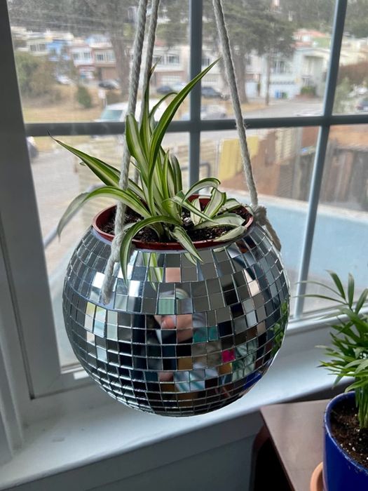 A reviewer's hanging planter is displayed.