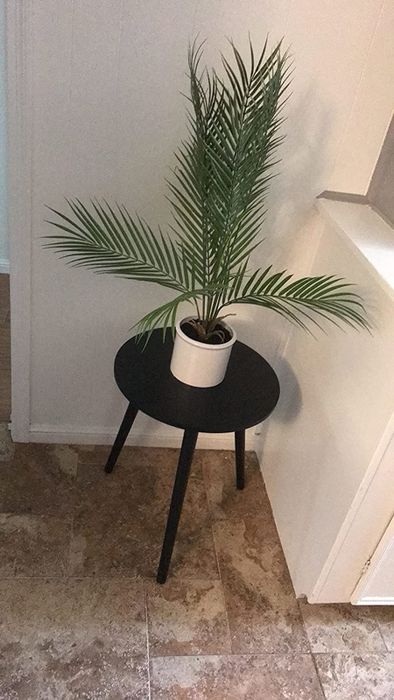 A reviewer's photo of the black side table with a plant on it