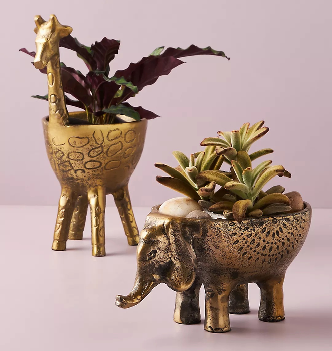 the giraffe and elephant planters each holding little plants