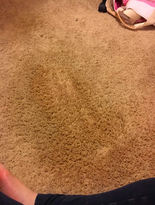 after: the same carpet, now free of the stain