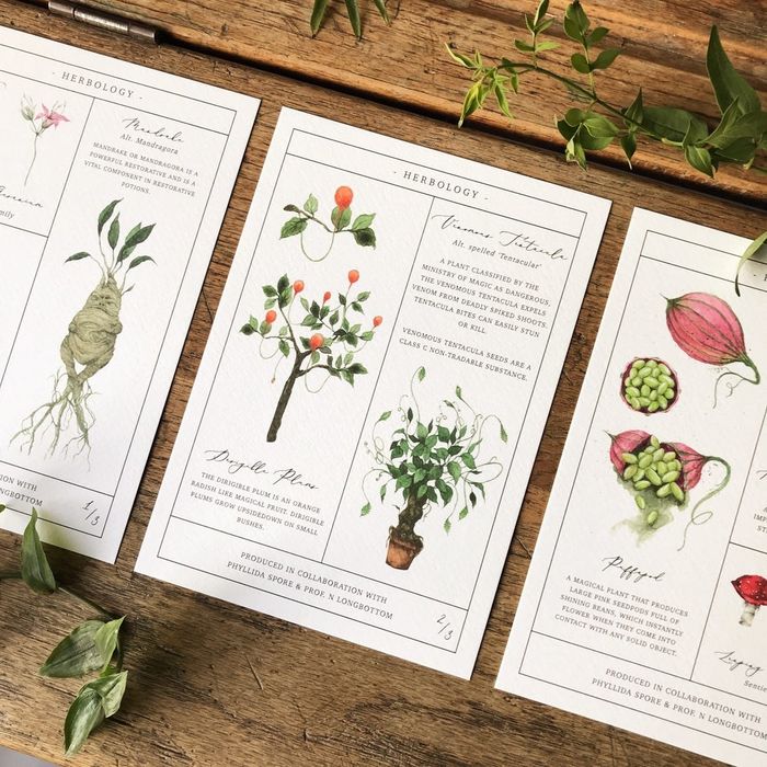 The set of three Harry Potter Herbology Chart prints.