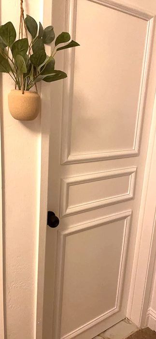 A reviewer's door, featuring decorative panels that add style and interest.