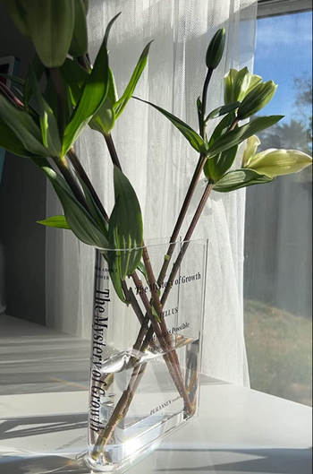 A clear, book-shaped vase with fresh flowers emerging from it.