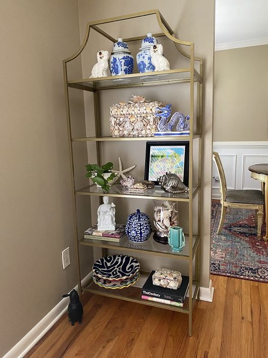 A display case showcasing a collection of various items, arranged thoughtfully.