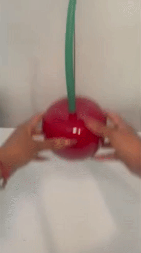A gif showing a reviewer pulling the brush out of its holder.