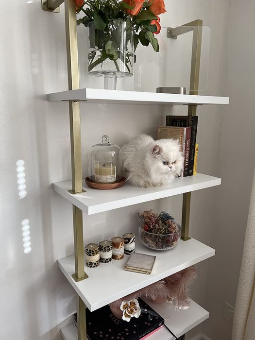 Reviewer close-up shot of the gold and white bookshelf adorned with decorative items and a white cat