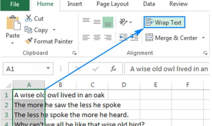Cách sử dụng Wrap Text để tự động xuống dòng