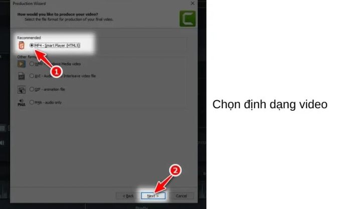 Chọn định dạng MP4 – Smart Player (HTML5)
