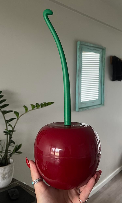 A reviewer holding the toilet brush.