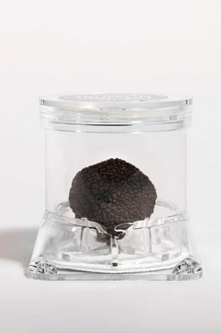 A truffle carefully packaged in clear protective wrapping.