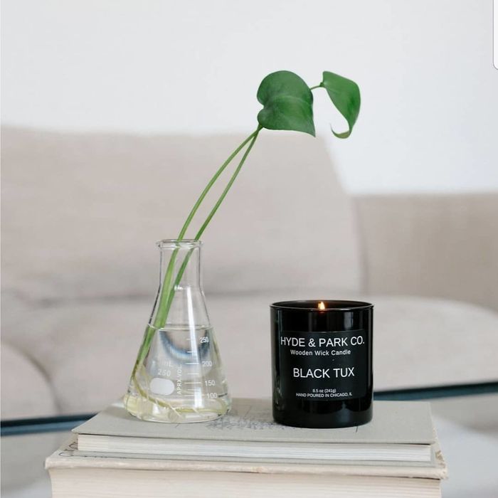 A sleek black candle rests on a coffee table next to a vase holding a vibrant green pothos leaf.