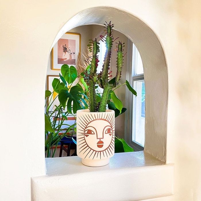 A sun face vase with a lively cactus nestled inside, bringing a touch of nature and charm to any room.