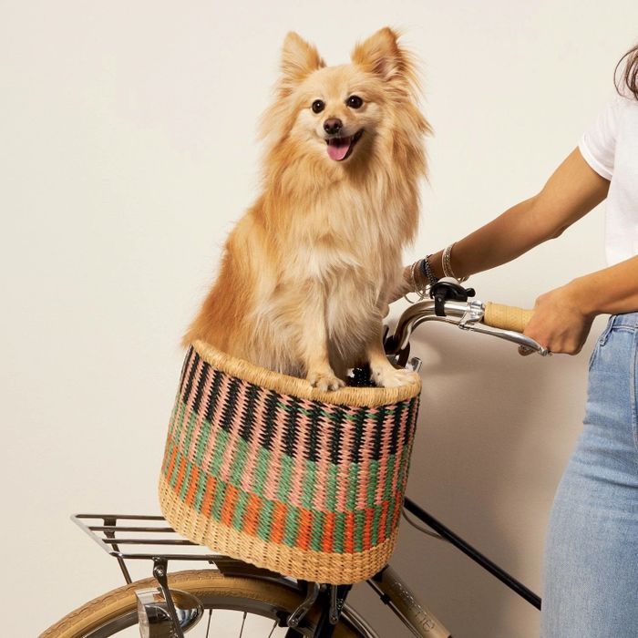 A handwoven bicycle basket with a dog comfortably nestled inside.