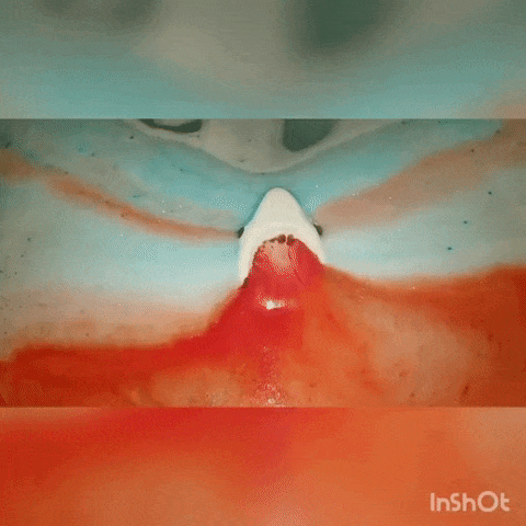 The shark-shaped bath bomb fizzing away in the bathtub.