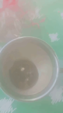 A gif showing the magical moment when the chocolate bomb melts, revealing a marshmallow surprise in the cup below.