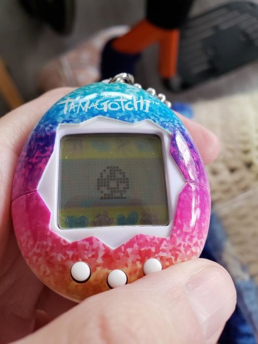 A vibrant, rainbow-colored virtual pet toy