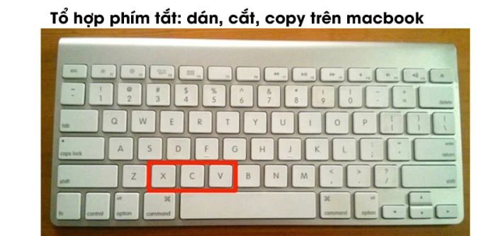Hướng dẫn sử dụng touchpad trên MacBook với tính năng phóng to và thu nhỏ