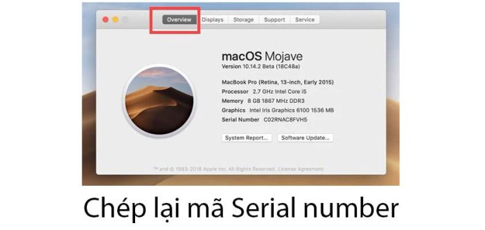 Ghi lại mã số Serial number
