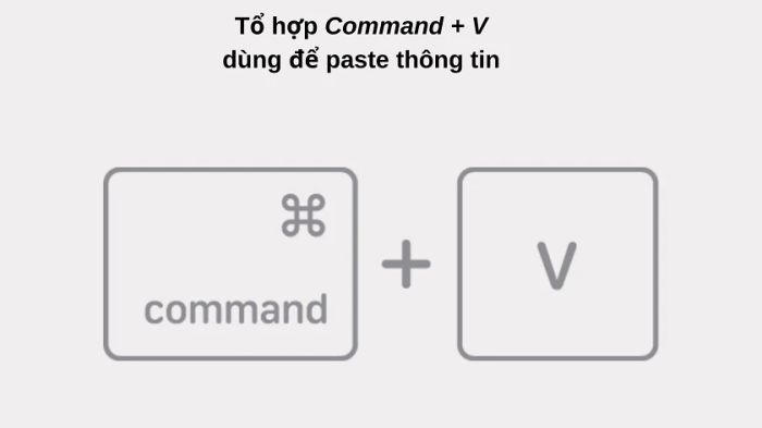 Hướng dẫn sao chép và dán trên MacBook Pro | Air