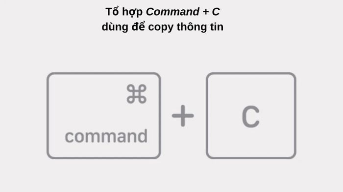 Hướng dẫn sao chép và dán trên MacBook Pro | Air