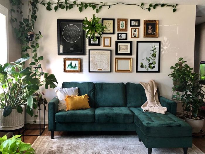 A reviewer’s photo of the green couch set in a beautifully decorated living room, complete with plants.
