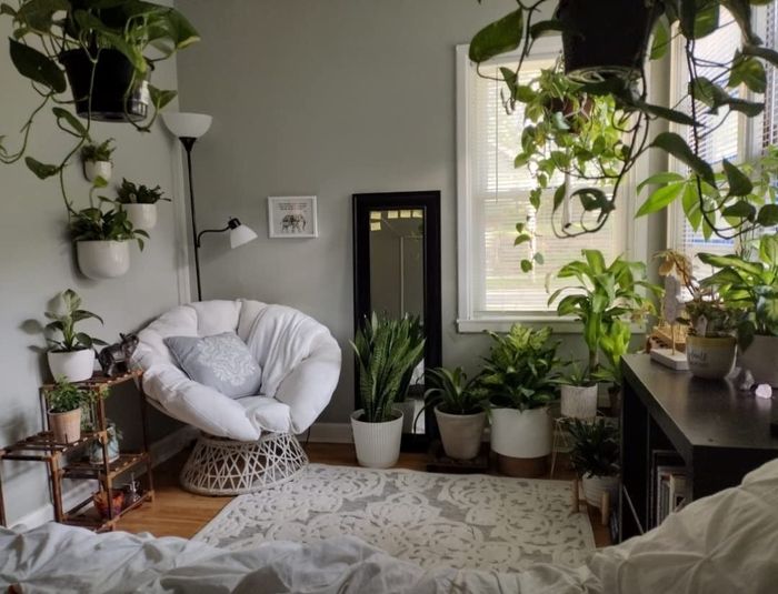 The chair sits in a bedroom corner surrounded by an array of lush plants