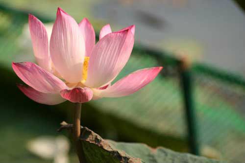 ความเชื่อในอดีต