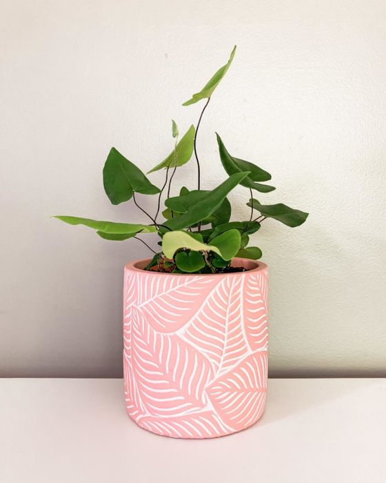 A reviewer's pink planter, etched with leafy patterns, holds a thriving leafy plant.