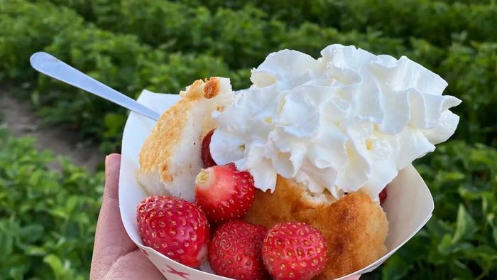 Take along a canister when you go berry-picking.