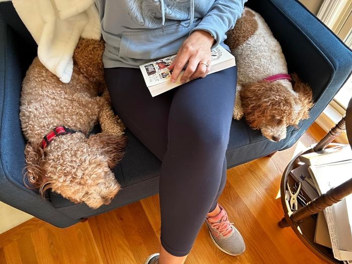 A person seated in the chair with two dogs, holding a book