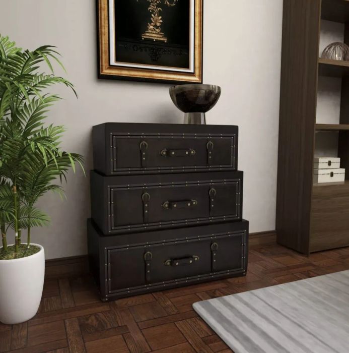 The trunk dresser in a room with a decorative bowl placed on top