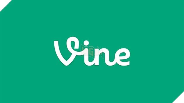 Vine