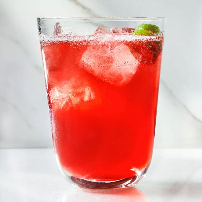 Kombucha Pomegranate Tonic