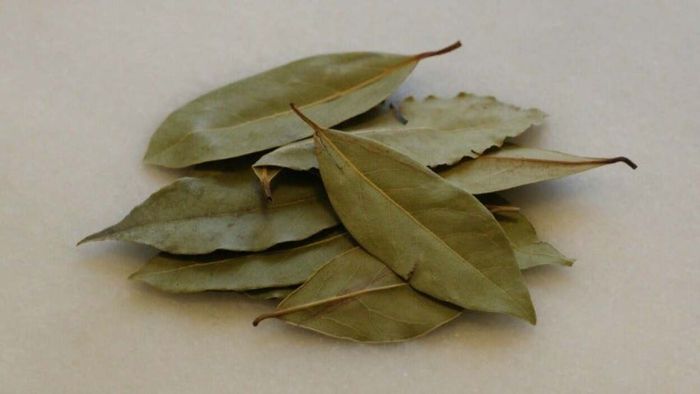 Do Bay Leaves Actually Serve a Purpose?