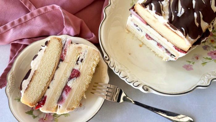 Craft an Ice Cream Cake Straight in a Sara Lee Container