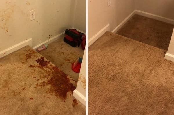 A customer review photo showing a carpet with a large red spill, followed by the same carpet after being cleaned with the spray.