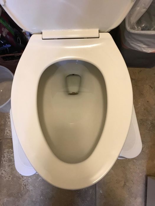 The same reviewer's toilet, now sparkling white and spotless after using the pumice stone.