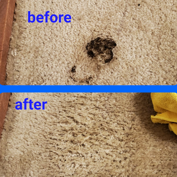 A reviewer's carpet before, stained dark brown, and after, with the stain completely gone